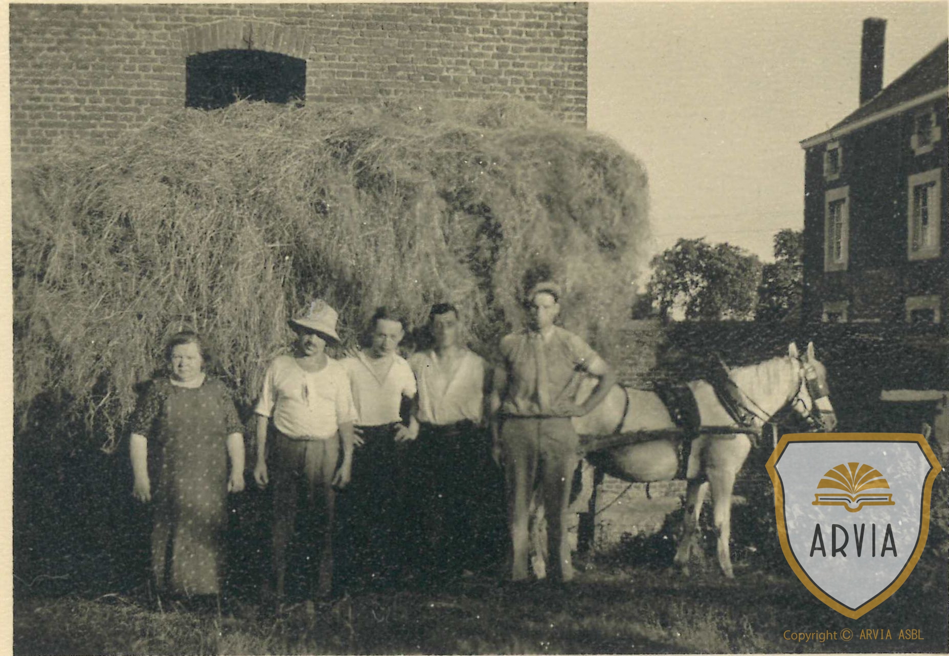 CHAINEUX - ± 1950 - Ferme Thomas 'Guillaume' Schoonbroodt - la fenaison ...